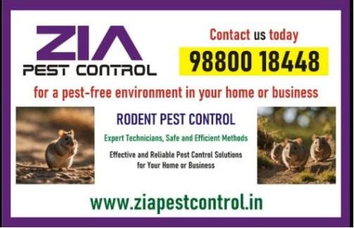 Get rid of Rodent | Bed Bug pest Control | Residence and office  |  5081