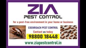 Bengaluru Pest control | Cockroach Treatment | Schools Special discount | 5041