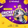 Bet on Cricket Online at Winbaji Bangladesh Official