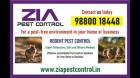 Zia Pest Control | Rat Mice and Lizard | 30% Off for Residence and Office | 5051