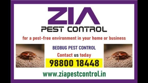 Bed Bug Control | Kinder Karden Schools Discount Up to 25 % Off  | 6053