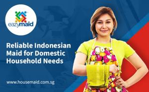 Reliable Indonesian Maid for Domestic Household Needs