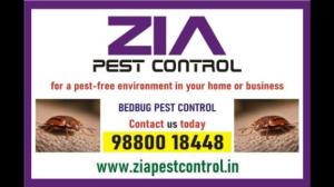 Bed Bug Control | effective bedbug treatments Complete Bangalore | 5038