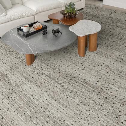 Zen Ashton Regal Ombre Luxe Area Carpet