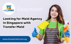 Looking for Maid Agency Singapore with Transfer Maid