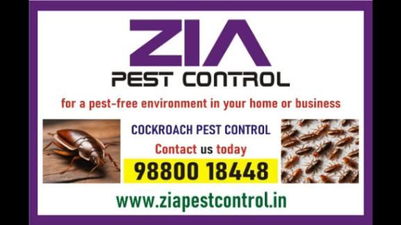 Cockroach Service | Office and Residence service Provided | Call Now | 366