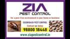 Cockroach Service | Office and Residence service Provided | Call Now | 366